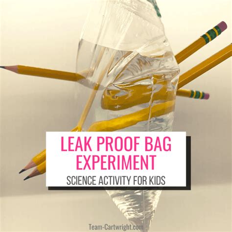 leak proof bag experiment|LEAKPROOF BAG